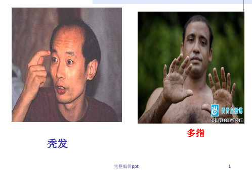 高中生物人类遗传病(优质课最终版)ppt课件