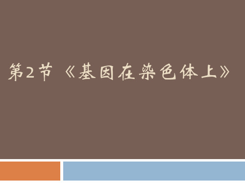 基因在染色体上(说课稿PPT+教学PPT课件)
