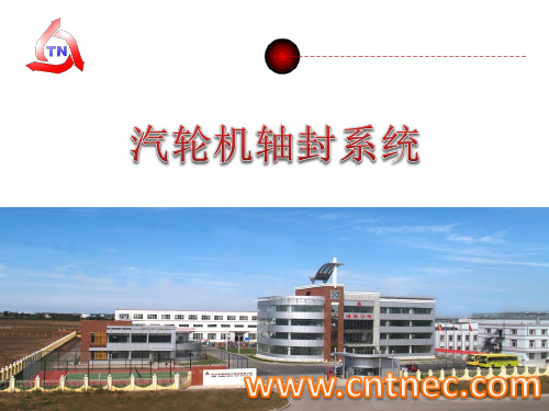 汽轮机轴封系统