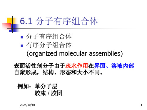 表面活性剂第6章ppt课件.ppt