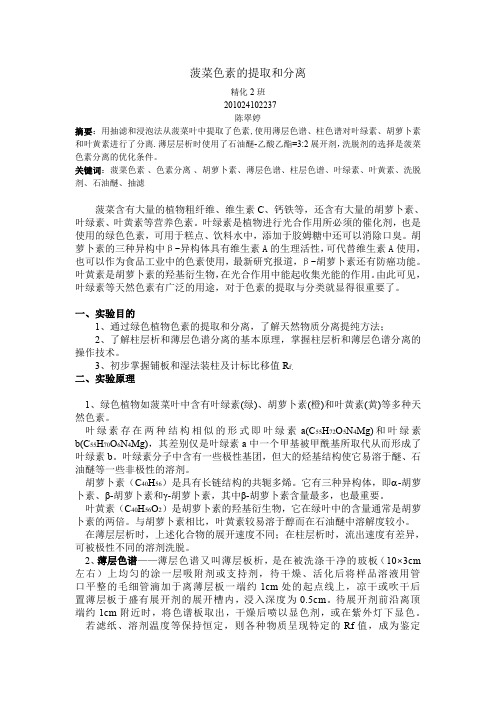 菠菜色素的提取和分离