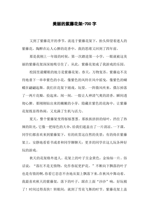 美丽的紫藤花架-700字初二作文写景