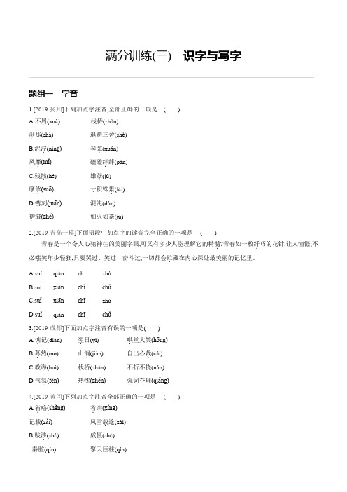 中考语文复习专项训练： 识字与写字(含解析)