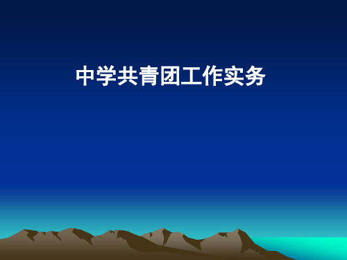 中学共青团工作实务资料