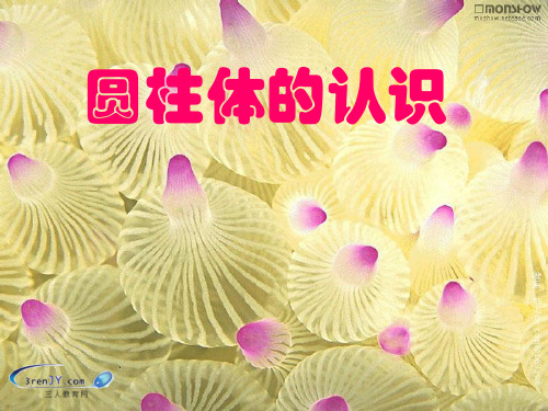 (精选)六年级数学下册二、圆柱和圆锥1《圆柱和圆锥的认识》圆柱体的认识 PPT精品课件苏教版