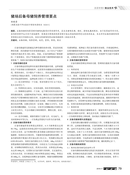 猪场后备母猪饲养管理要点