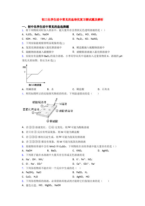 初三化学生活中常见的盐培优复习测试题及解析