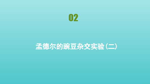 新教材高中生物第1章遗传因子的发现第2节孟德尔的豌豆杂交实验(二)课件新人教版必修2