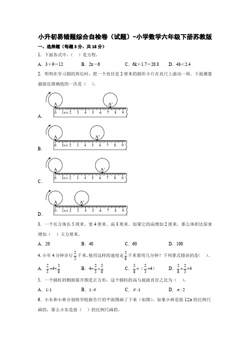 小升初易错题综合自检卷(试题)-小学数学六年级下册苏教版