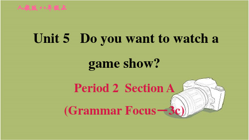 人教版八年级英语上册：Unit 5 Do you want to watch a game show Period 2 Section A (Grammar Focus-3c)
