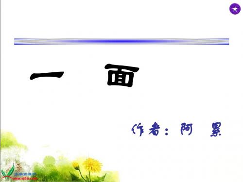 一面