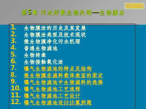 《生物膜法》PPT课件 (2)