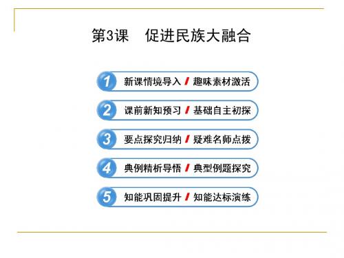 3.3 促进民族大融合 课件(人教版选修1)