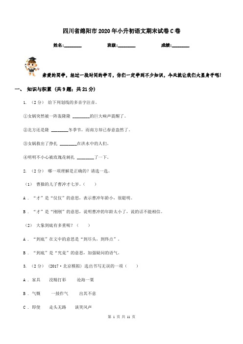 四川省绵阳市2020年小升初语文期末试卷C卷
