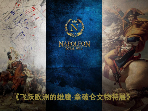 拿破仑(曾攀)