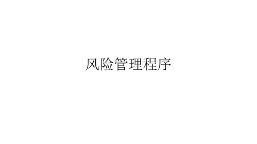 风险管理程序