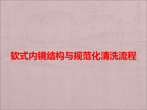 软式内镜结构和规范化清洗流程ppt课件