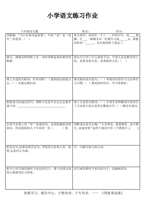 小学语文练习作业17