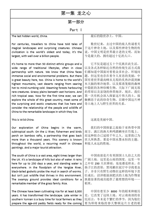美丽中国第一单元 龙之心