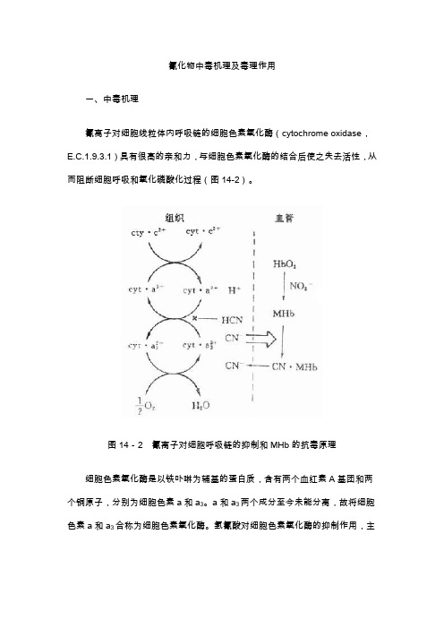 氰化物中毒机理及毒理作用