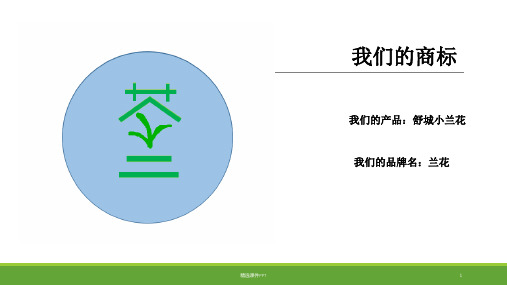 茶叶营销策划ppt课件