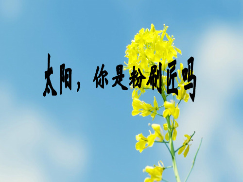 语文二上第1课《太阳你是粉刷匠吗》(3)
