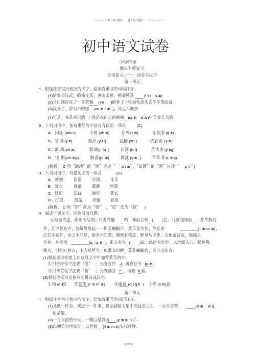 人教版九年级上册语文期末专项复习