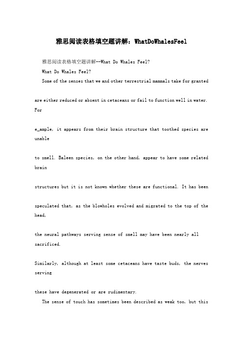 雅思阅读表格填空题讲解：WhatDoWhalesFeel