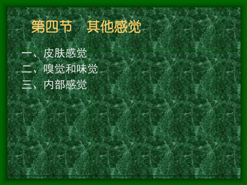 第三章 感觉