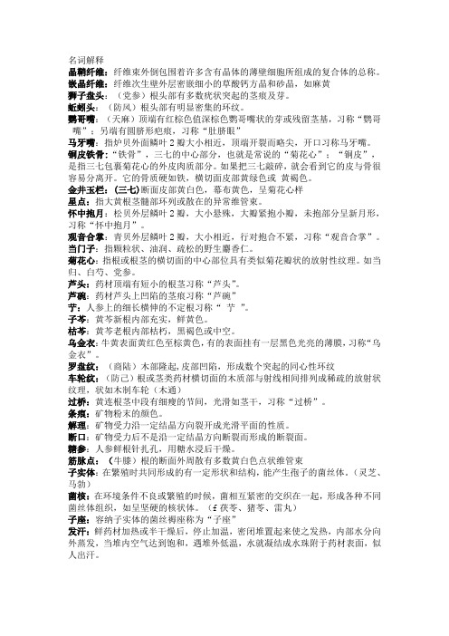 生药名词解释