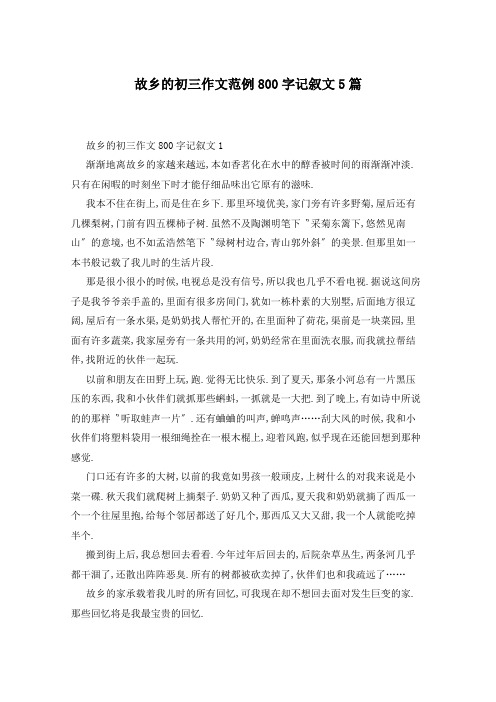 故乡的初三作文范例800字记叙文5篇