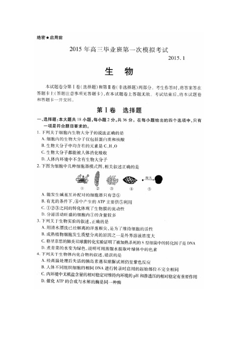 河南省安阳市2015届高三1月一模生物试题 扫描版含答案