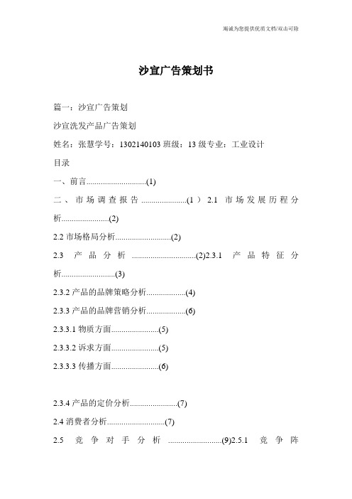 沙宣广告策划书