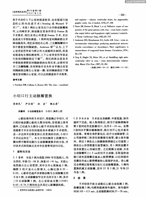 小切口行主动脉瓣置换