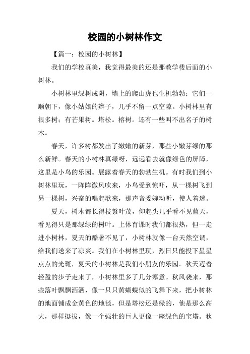 校园的小树林作文