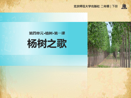 《杨树之歌》PPT