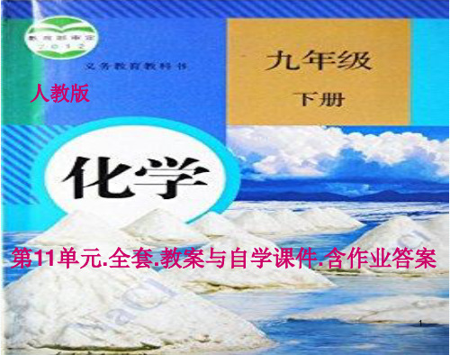 人教版 九年级化学下册 第11单元 盐 化肥(全套)导学课件教案 含同步导学习题答案