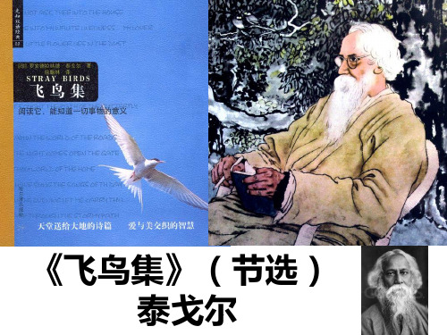 飞鸟集PPT课件