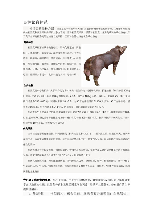 良种繁育体系
