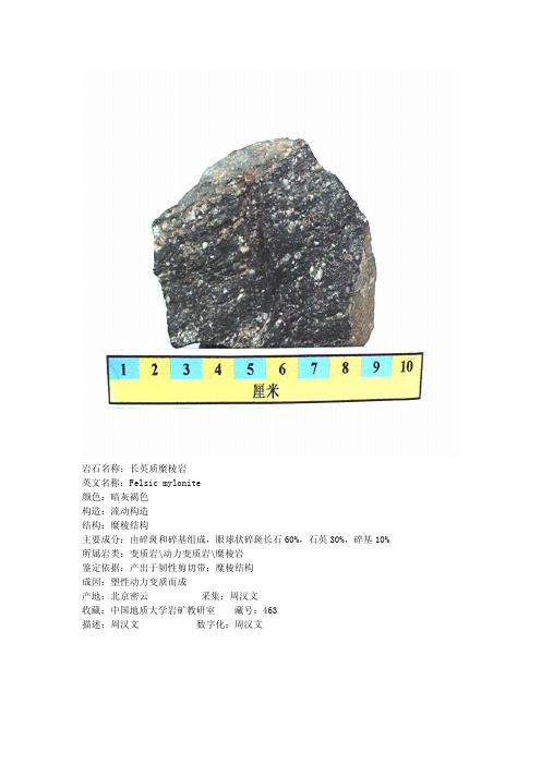 常见岩石标本(地大)2