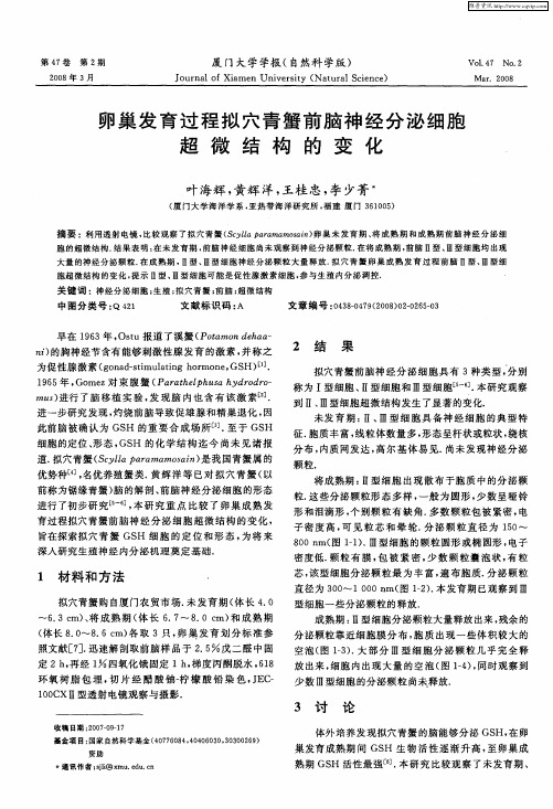 卵巢发育过程拟穴青蟹前脑神经分泌细胞超微结构的变化