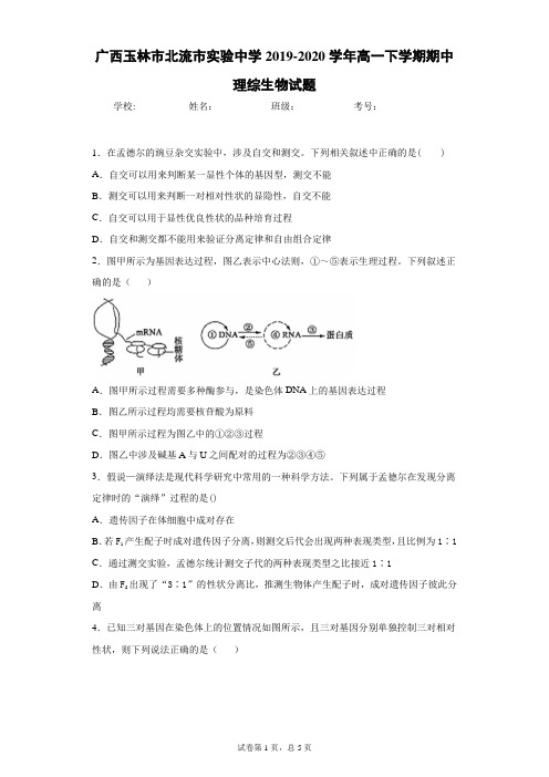 广西玉林市北流市实验中学2019-2020学年高一下学期期中理综生物试题