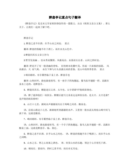 醉翁亭记重点句子翻译