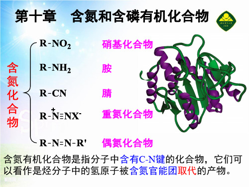 有机化学——第10章含氮和含磷有机化合物