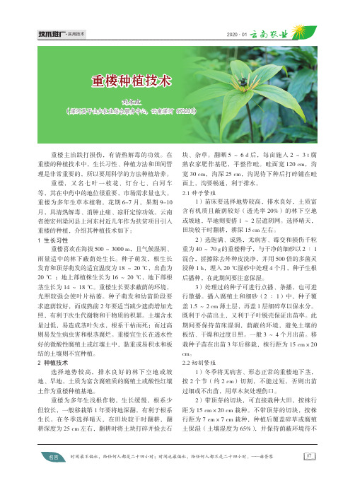 重楼种植技术