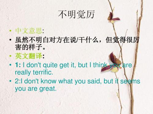 网络新词 翻译