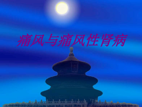 痛风与痛风性肾病PPT培训课件