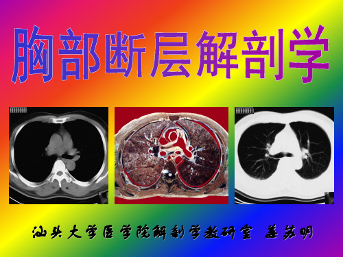 胸部断层解剖学