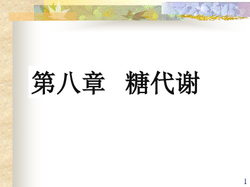 第八章 糖代谢091