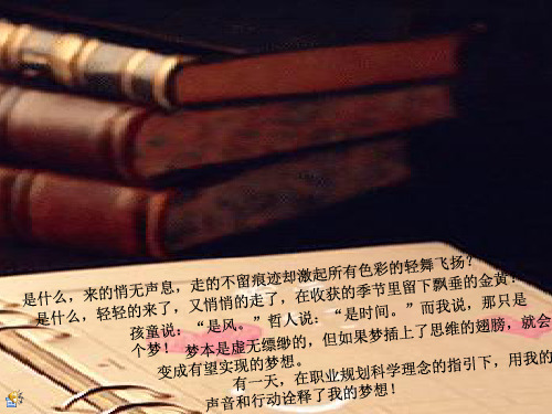 梦想成真(1)PPT资料45页